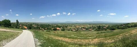 Mogila Belediyesi