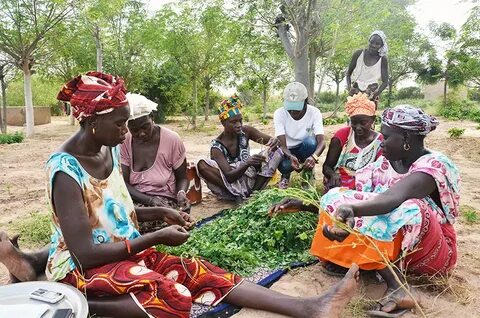 Kédougou
