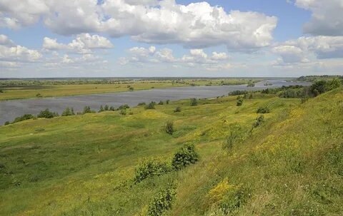 Ryazan Oblastı
