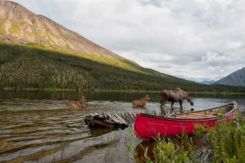Yukon