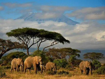Kirinyaga