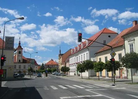 Slovenska Bistrica Belediyesi