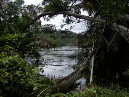 Ogooué-Ivindo Eyaleti