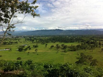 Huila