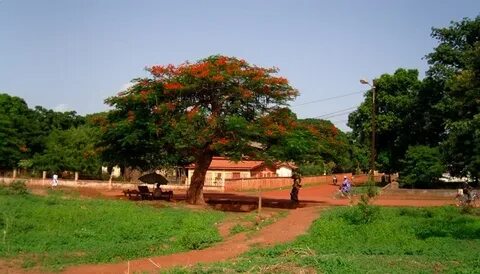 Kankan Region