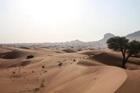 Kufra İlçesi