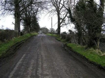 Coleraine İlçe Konseyi