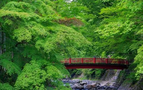 Shizuoka Eyaleti