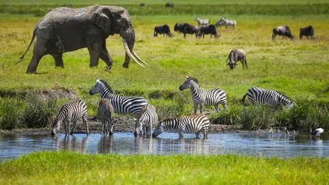Taita – Taveta