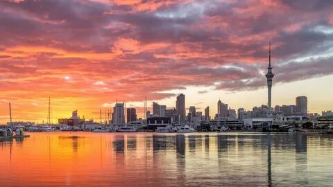 Auckland Bölgesi