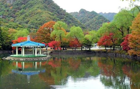 Güney Jeolla Eyaleti