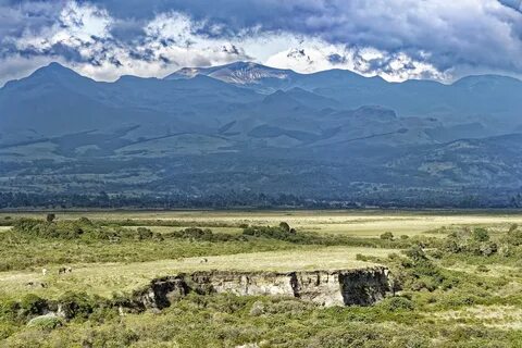 Valle del Cauca