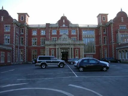 Bracknell Ormanı