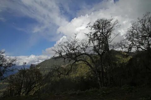 Wangdue Phodrang Bölgesi