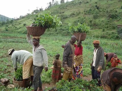 Kayanza Eyaleti