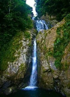Orocovis
