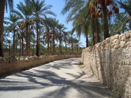 Ouled Djellal