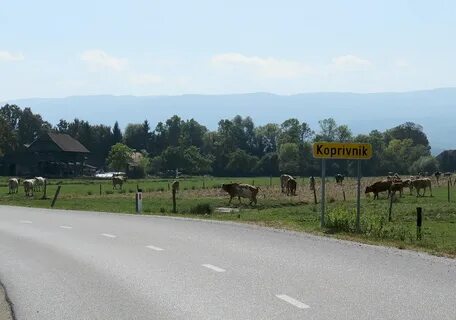 Kostanjevica ve Krki Belediyesi