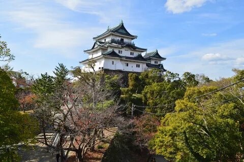 Wakayama Eyaleti