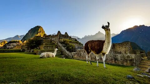 Puno