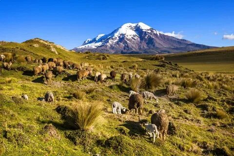 Chimborazo