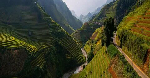 Lâm Đồng