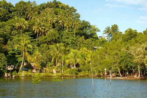 Choiseul Eyaleti