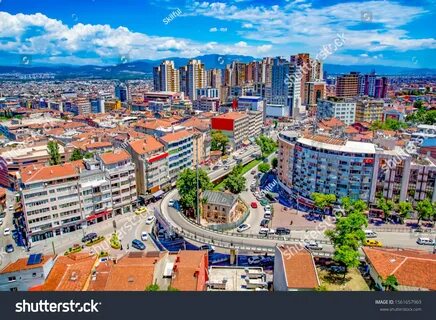 Bursa