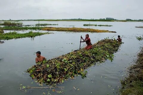 Gaibandha Bölgesi
