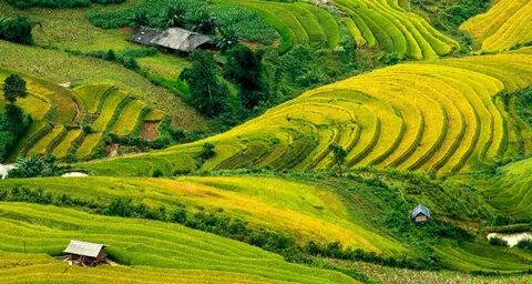 Ha Giang