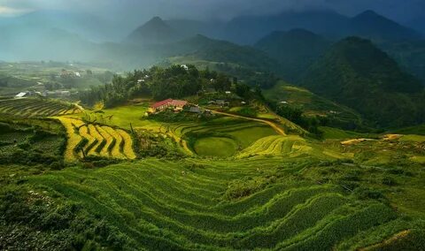 Điện Biên