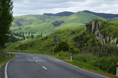 Waikato Region