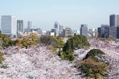 Fukuoka Eyaleti