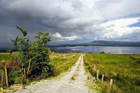 Roscommon