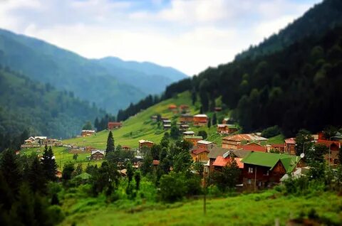 Rize