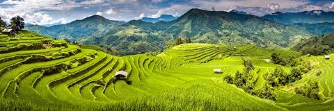 Ha Giang