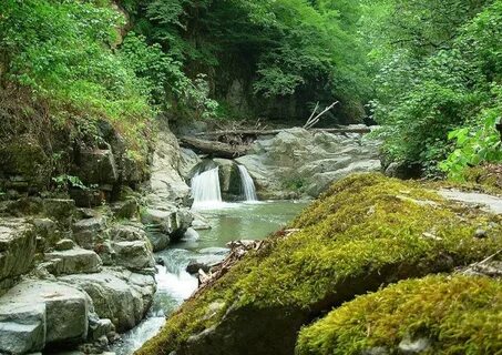 Masallı İlçesi