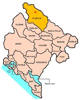 Mojkovac Belediyesi