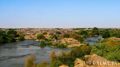 Nil Nehri