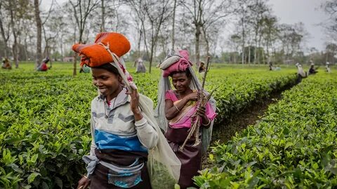 Assam