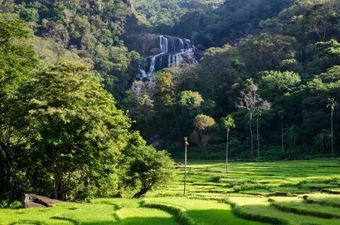 Kandy Bölgesi
