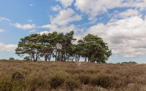 Drenthe
