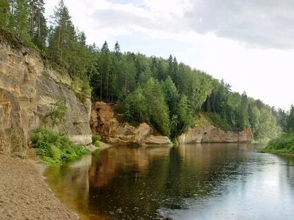 Pārgauja Belediyesi
