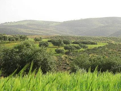 Cebel el Akhdar