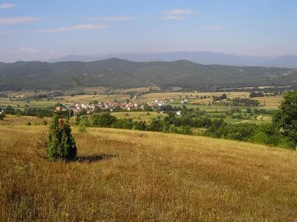 Drugovo Belediyesi