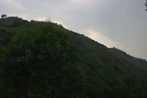 Kanungu Mahallesi
