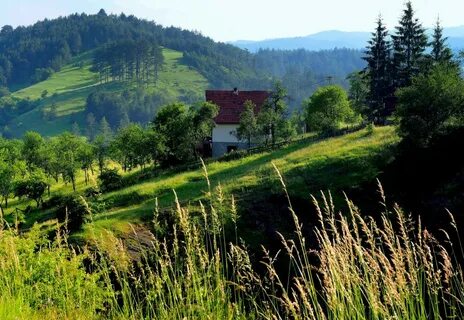 Zlatibor Bölgesi