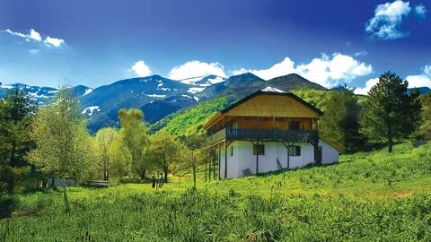 Rankovce Belediyesi
