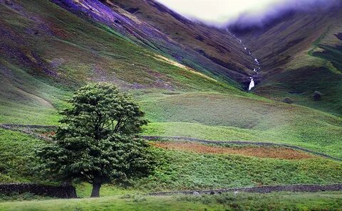 Cumbria