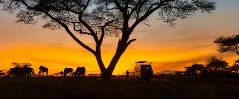 Songwe